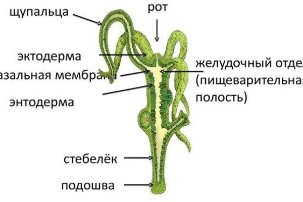 Как закинуть деньги на кракен