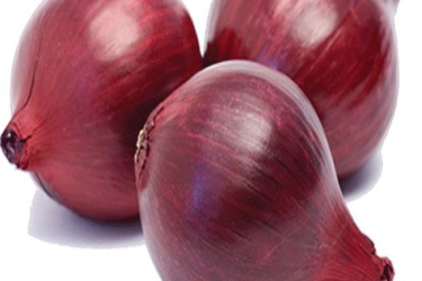 Официальная ссылка на кракен в тор